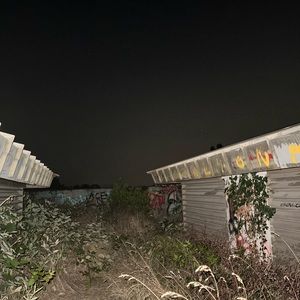 Meet your Posher, Damian